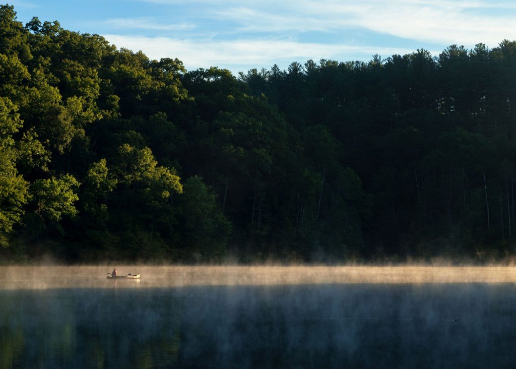 Lake, boat, forest